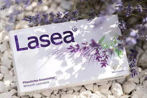 Lasea Packung mit Lavendelblüten auf 
