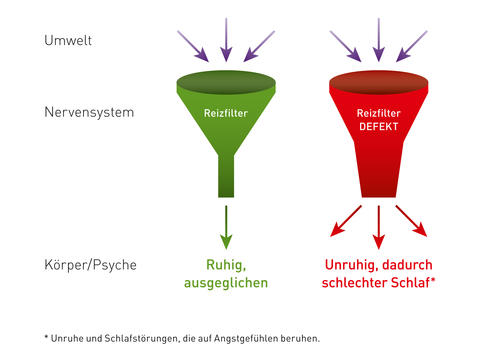 Darstellung des überlasteten Reizfiltersystems, das durch den Inhaltsstoff in Lasea® reguliert werden kann.