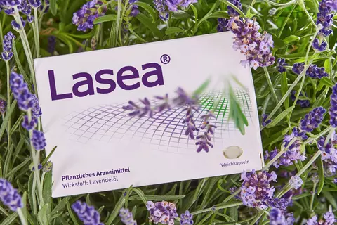 Lasea Packung in Lavendelfeld