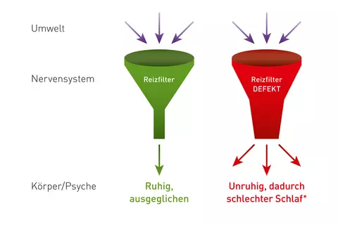Darstellung des überlasteten Reizfiltersystems, das durch den Inhaltsstoff in Lasea® reguliert werden kann.