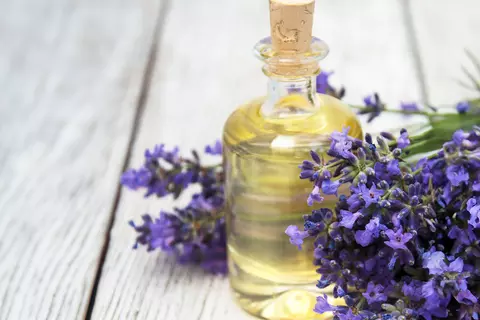 Lavendelöl und Lavendelblüten