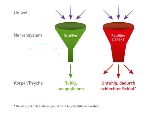 Darstellung des überlasteten Reizfiltersystems, das durch den Inhaltsstoff in Lasea® reguliert werden kann.