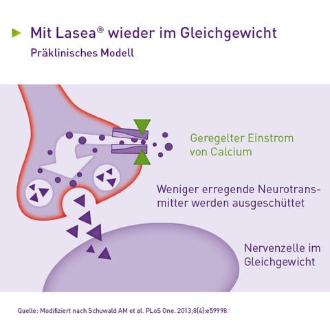 Wirkmechanismus: Geregelter Einstrom von Calcium