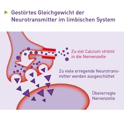 Wirkmechanismus: Zu viel Calcium strömt in die Nervenzelle